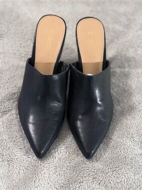 Shoedazzle 'Paula' Pointed Toe Block Heel Mules | Black | Size 8.5